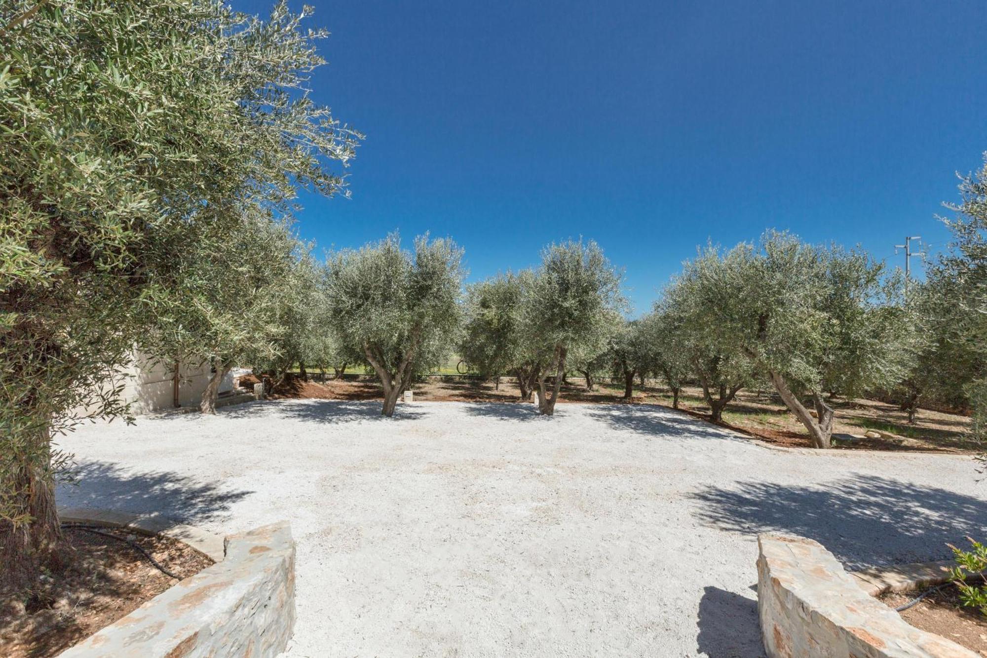 Trulli Ulivo Di Puglia By Barbarhouse Villa Selva Di Fasano Buitenkant foto